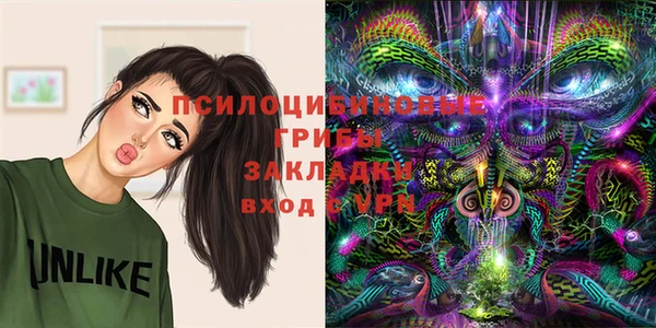 дурь Богородицк