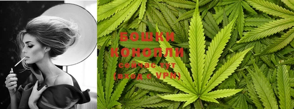 спайс Богородск