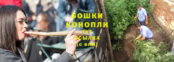 мескалин Богданович