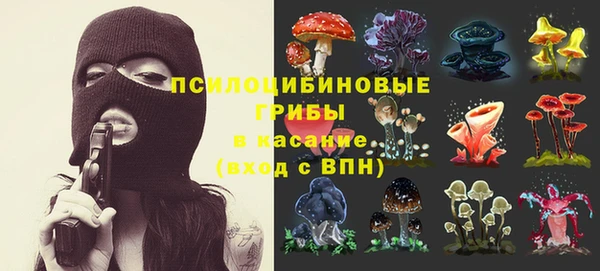 шишки Бугульма