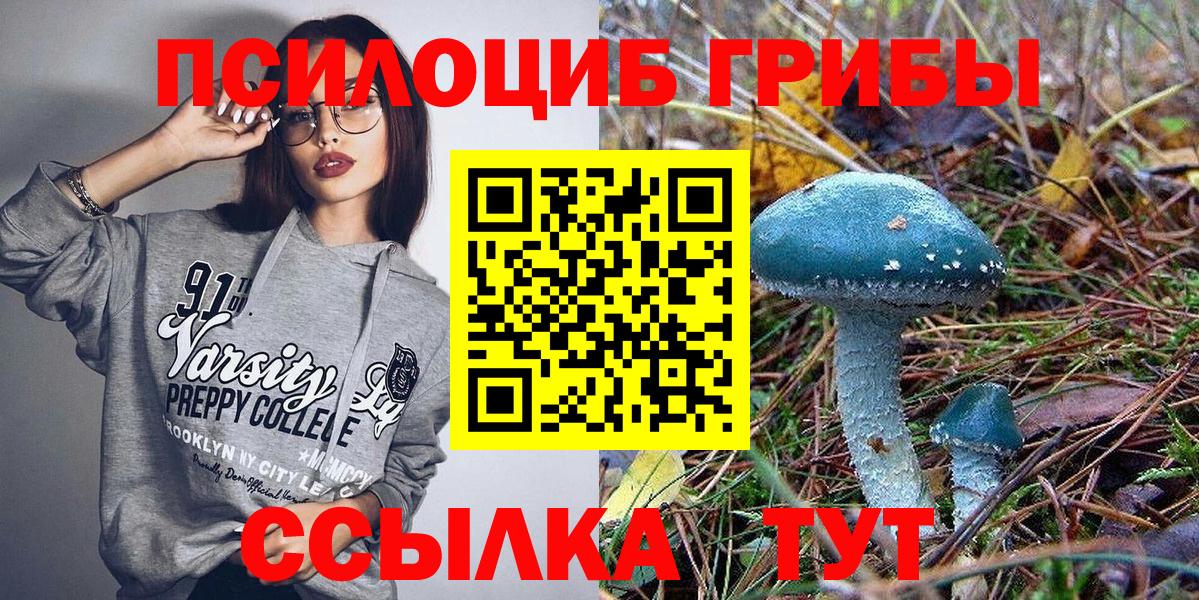 Галлюциногенные грибы GOLDEN TEACHER  Псилоцибиновые грибы MAGIC MUSHROOMS  Вятские Поляны  Вход с VPN 