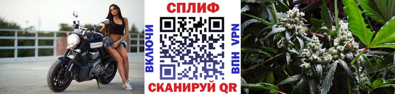 где продают наркотики  Вятские Поляны  KRAKEN зеркало  МАРИХУАНА план 