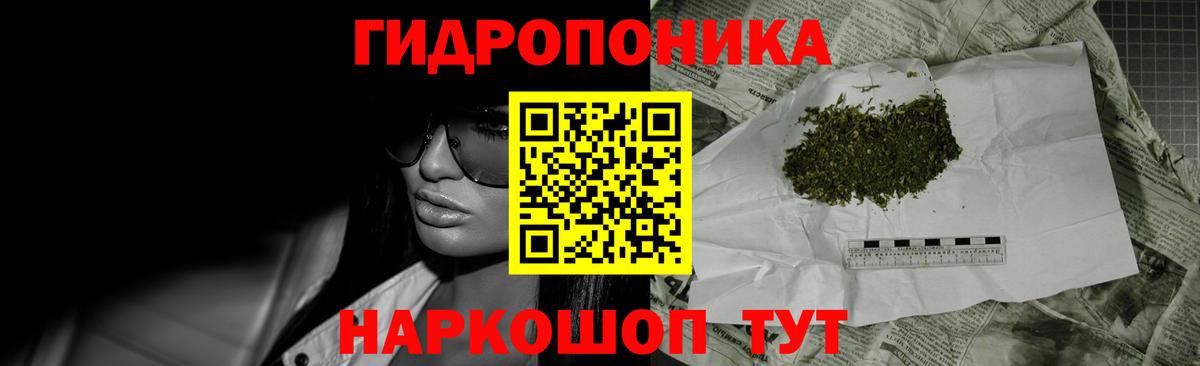 Конопля семена  Вход с VPN  Каннабис OG Kush  Конопля Amnesia  Вятские Поляны 